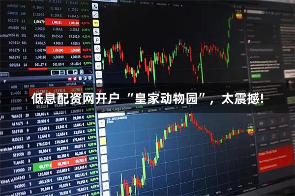 低息配资网开户 “皇家动物园”，太震撼!