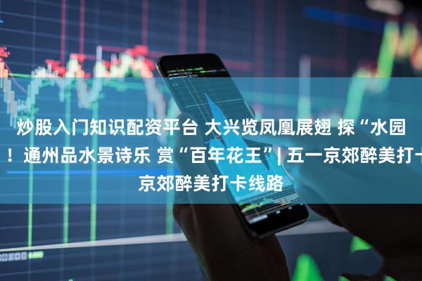 炒股入门知识配资平台 大兴览凤凰展翅 探“水园相依”！通州品水景诗乐 赏“百年花王”| 五一京郊醉美打卡线路